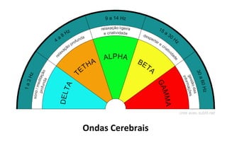 Ondas Cerebrais
 