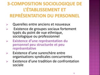  Querelles entre anciens et nouveaux
 Existence de groupes sociaux fortement
typés du point de vue ethnique,
sociologique ou professionnel
 Existence d’une représentation du
personnel peu structurée et peu
représentative
 Existence d’une surenchère entre
organisations syndicales concurrentes
 Existence d’une tradition de confrontation
sociale
18
 