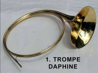 1. TROMPE
DAPHINE
 