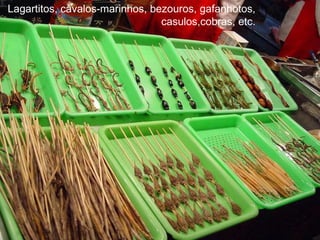 Lagartitos, cavalos-marinhos, bezouros, gafanhotos, casulos,cobras, etc.