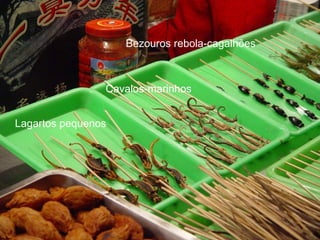 Bezouros rebola-cagalhões



                Cavalos-marinhos


Lagartos pequenos
 