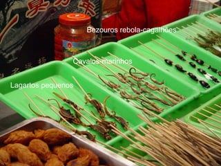 Bezouros rebola-cagalhões



                Cavalos-marinhos


Lagartos pequenos
 