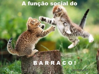A função social do




   BARRACO!
 