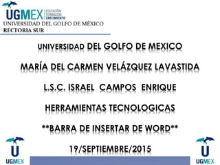 UNIVERSIDAD DEL GOLFO DE MEXICO
MARÍA DEL CARMEN VELÁZQUEZ LAVASTIDA
L.S.C. ISRAEL CAMPOS ENRIQUE
HERRAMIENTAS TECNOLOGICAS
**BARRA DE INSERTAR DE WORD**
19/SEPTIEMBRE/2015
 
