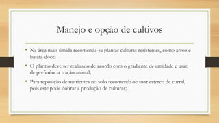 Manejo e opção de cultivos
• Na área mais úmida recomenda-se plantar culturas resistentes, como arroz e
batata-doce;
• O plantio deve ser realizado de acordo com o gradiente de umidade e usar,
de preferência tração animal;
• Para reposição de nutrientes no solo recomenda-se usar esterco de curral,
pois este pode dobrar a produção de culturas;
 