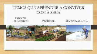 TEMOS QUE APRENDER A CONVIVER
COM A SECA
ESTOCAR
ALIMENTOS PRODUZIR ARMAZENAR ÁGUA
 