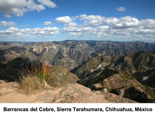 Barrancas del Cobre, Sierra Tarahumara, Chihuahua, México 