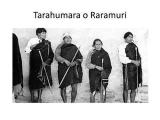 Tarahumara o Raramuri

 