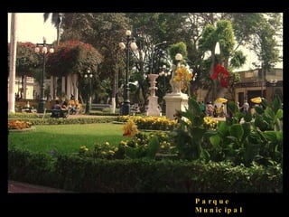 Parque Municipal 