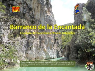 Paraje protegido del Barranco de la Encantada. En el cual se puede disfrutar de
su belleza paisajística, su diversidad de flora y fauna, y la cascada del Gorg del Salt
y L’Estret.
 
