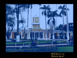 Biblioteca Municipal 
