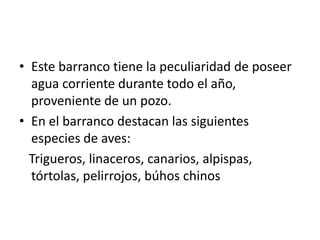 • Este barranco tiene la peculiaridad de poseer
  agua corriente durante todo el año,
  proveniente de un pozo.
• En el barranco destacan las siguientes
  especies de aves:
  Trigueros, linaceros, canarios, alpispas,
  tórtolas, pelirrojos, búhos chinos
 