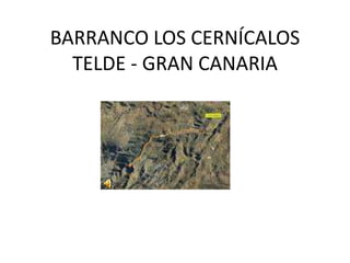 BARRANCO LOS CERNÍCALOS
  TELDE - GRAN CANARIA
 