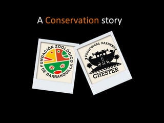 A  Conservation  story  