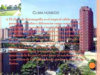Clima húmedoEl clima de Barranquilla es el tropical cálido seco y presenta anomalías y diferencias como consecuencia del sistema metereológico local y de la ubicación geoastronómica. En Barranquilla no se producen las abundantes selvas características del clima tropical. Por el contrario, es una zona seca, como lo es todo el litoral Caribe colombiano, debido a que los vientos alisios del noreste soplan paralelos al litoral, absorbiendo la humedad, empujándola hacia el interior de la Región Caribe hasta las estribaciones de la cordillera de los Andes, donde producen abundantes lluvias.