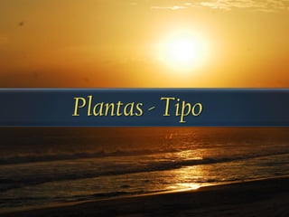 Plantas - Tipo
 