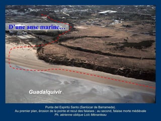 Guadalquivir
Punta del Espiritú Santo (Sanlúcar de Barrameda).
Processus de régularisation du rivage avec comblement de l’...