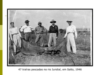 47 traíras pescadas no rio Jundiaí, em Salto, 1946 
