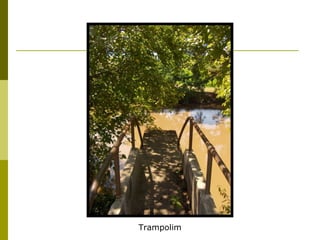 Trampolim 
