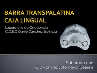 Laboratorio de Ortodoncia
C.D.E.O Daniel Sánchez Espinoza




                                  Elaborado por:
                  C.D Ramírez Sotomayor Desireé
 