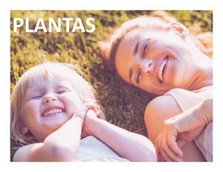 PLANTAS 
 
