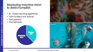 Examples
from
research
collaborations:
faptic.xyz
Dr Sara Barrento WHAT IS PRECISION AQUACULTURE? 18
Employing machine vision
to detect lumpfish
• AI - Deep Learning algorithms
• Fish number/unit volume
• Fish position
• Fish behavior
Faptic.xyz
Clinging,
37.5
Swimming,
62.5
@CSAR
 