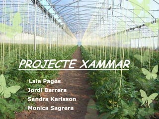 PROJECTE XAMMAR
    Laia Pagès
-   Jordi Barrera
-   Sandra Karlsson
-   Monica Sagrera
 