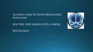 ALUMNO: JOSE OCTAVIO HERNANDEZ
PONCIANO
DOCTOR: JOSE MARIA COTA CAMPAS
HISTOLOGIA
 