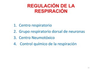 REGULACIÓN DE LA RESPIRACIÓN Centro respiratorio Grupo respiratorio dorsal de neuronas Centro Neumotóxico Control químico de la respiración 