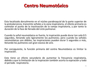 Centro Neumotóxico Esta localizado dorsalmente en el núcleo parabraquial de la parte superior de la protuberancia, transmite señales a la zona inspiratoria, el efecto primario es controlar el punto de la inactivación de la rampa inspiratoria, y por tanto la duración de la fase de llenado del ciclo pulmonar.  Cuando la señal neumotóxica es fuerte, la inspiración puede durar tan solo 0.5 segundos, llenando solo ligeramente los pulmones; pero cuando las señales neumotóxicas son débiles, las inspiraciones pueden durar 5 segundos o más, llenando los pulmones con gran exceso de aire. Por consiguiente, la función primaria del centro Neumotóxico es limitar la inspiración.  Esto tiene un efecto secundario de aumentar la frecuencia respiratoria, debido a que la limitación de la inspiración también acorta la espiración y todo el periodo  respiratorio.  