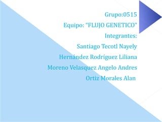 Grupo:0515
     Equipo: “FLUJO GENETICO”
                   Integrantes:
         Santiago Tecotl Nayely
   Hernández Rodríguez Liliana
Moreno Velasquez Angelo Andres
            Ortiz Morales Alan
 