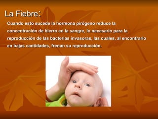 La Fiebre : Cuando esto sucede la hormona pirógeno reduce la  concentración de hierro en la sangre, lo necesario para la  reproducción de las bacterias invasoras, las cuales, al encontrarlo  en bajas cantidades, frenan su reproducción. 