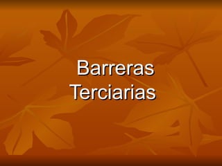 Barreras Terciarias  