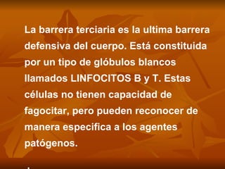La barrera terciaria es la ultima barrera defensiva del cuerpo. Está constituida por un tipo de glóbulos blancos llamados LINFOCITOS B y T. Estas células no tienen capacidad de fagocitar, pero pueden reconocer de manera especifica a los agentes patógenos. . 