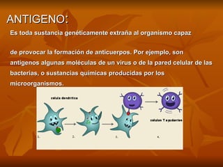 ANTIGENO : Es toda sustancia genéticamente extraña al organismo capaz  de provocar la formación de anticuerpos. Por ejemplo, son  antígenos algunas moléculas de un virus o de la pared celular de las  bacterias, o sustancias químicas producidas por los  microorganismos. 