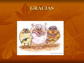 GRACIAS 