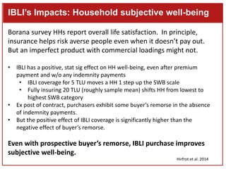 Index-Based Livestock Insurance (IBLI): Preliminary findings on the positive impacts of an imperfect product