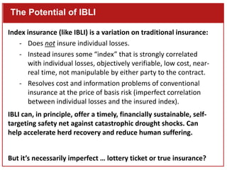 Index-Based Livestock Insurance (IBLI): Preliminary findings on the positive impacts of an imperfect product