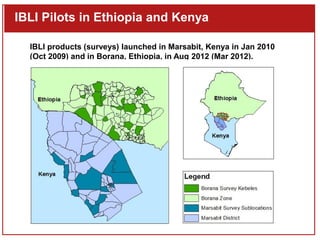 Index-Based Livestock Insurance (IBLI): Preliminary findings on the positive impacts of an imperfect product