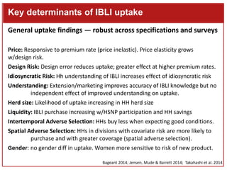 Index-Based Livestock Insurance (IBLI): Preliminary findings on the positive impacts of an imperfect product