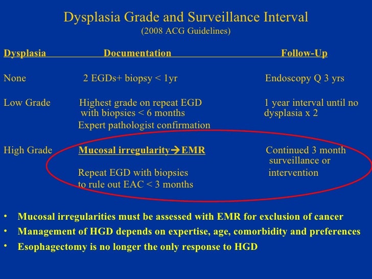 Barretts Brief Version For Upload