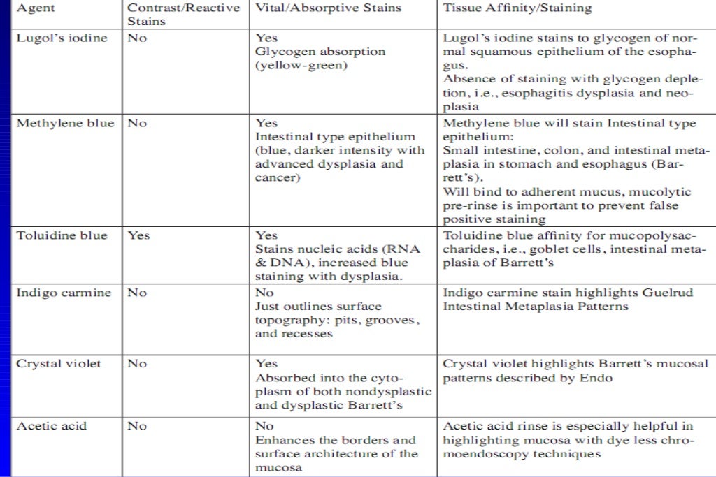 Barrett's esophagus; guidelines & new endoscopic techniques