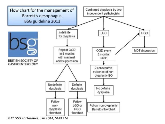 Barrett's Nhs Algorithm Barretts Oesophagus Surveillance – NYJFA