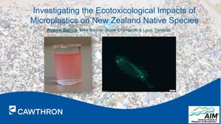 Investigating the Ecotoxicological Impacts of
Microplastics on New Zealand Native Species
Andrew Barrick, Mike Boundy Olivier Champeau & Louis Tremblay
 