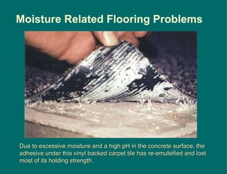 Due to excessive moisture and a high pH in the concrete surface, the adhesive under this vinyl backed carpet tile has re-emulsified and lost most of its holding strength. Moisture Related Flooring Problems 
