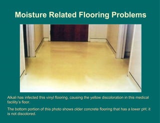 Alkali has infected this vinyl flooring, causing the yellow discoloration in this medical facility’s floor. The bottom portion of this photo shows older concrete flooring that has a lower pH; it is not discolored. Moisture Related Flooring Problems 