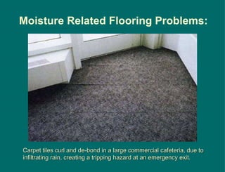 Carpet tiles curl and de-bond in a large commercial cafeteria, due to infiltrating rain, creating a tripping hazard at an emergency exit. Moisture Related Flooring Problems: 
