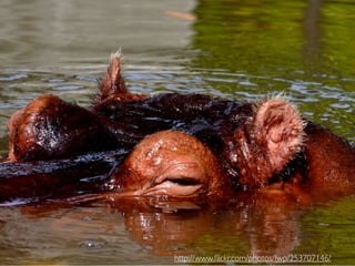 Einführung Barrierefreiheit Berufsschule