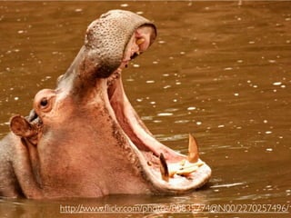 Einführung Barrierefreiheit Berufsschule