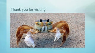 Thank you for visiting
https://upload.wikimedia.org/wikipedia/commons/6/65/Ghost_Crab,_Corolla,NC.jpg
 